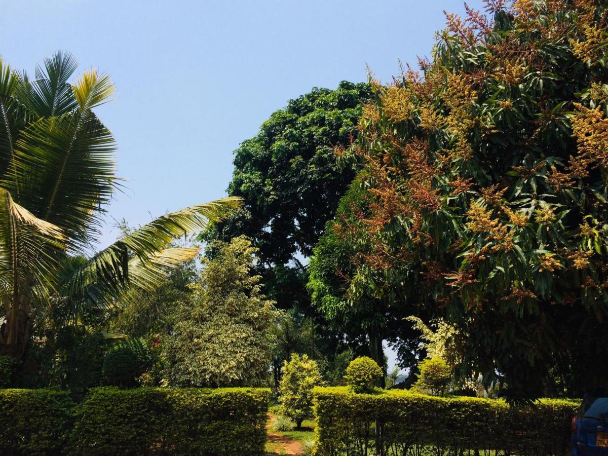 Kaz Garden Cottages Entebbe Eksteriør bilde